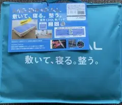 Item thumbnail for item 5d270b23-9231-415b-8178-ed3bb3398bf1