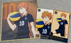 劇場版ハイキュー‼︎展　ミニ色紙　チケット風カード2種　日向翔陽　ゴミ捨て場の決戦