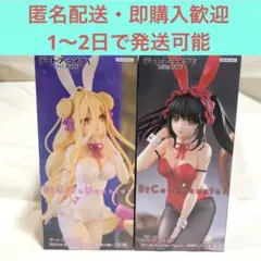 BiCute Bunnies Figure 時崎狂三 星宮六喰