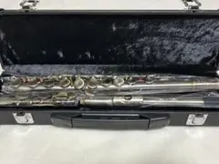 2025年最新】SLADE フルートの人気アイテム - メルカリ