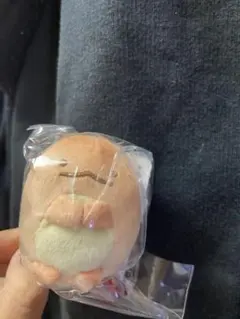 すみっコぐらし堂・庵限定 すみっコぐらし焼きぬいぐるみ とかげ