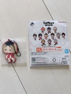 ハイキュー　一番くじ　H賞　孤爪研磨