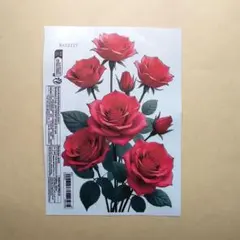 新品　ウォールステッカー　赤い薔薇ステッカー　☆A13