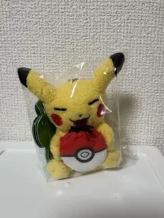 韓国限定 ピカチュウ ラッキーチャーム キーリング ポケモン 1個