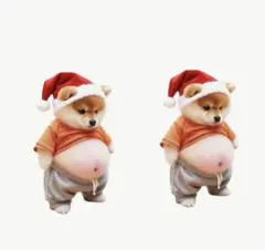 COCOちゃんママ様 リクエスト 2点 まとめ商品