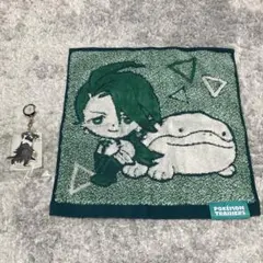 新品POKEMON TRAINERS チリ＆ドオーハンドタオル、キーホルダー