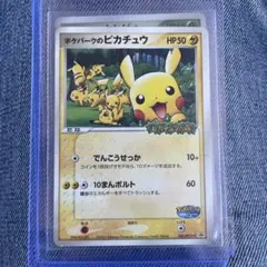 2026年最新】ポケパークのピカチュウの人気アイテム - メルカリ