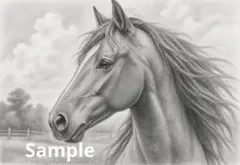 馬の鉛筆画風イラスト デジタルアート ポストカード