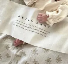 hello baby ┆ ニューボーンフォト タペストリー 月齢カード 新生児