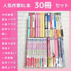 BL漫画 セット　世界一初恋　中村春菊　海辺のエトランゼ　小嶋ララ子　夏目イサク