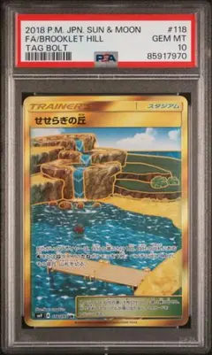 世界に92枚】せせらぎの丘 UR PSA10 タッグボルト - メルカリ