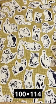 Item thumbnail for item a7c0a06a-bf59-4fe0-9037-4b312300fa8f