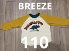 ブリーズ　ロンT 110