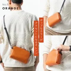 【美品】ショルダーバッグ 本革 サコッシュ 斜め掛け 肩掛け レザー コンパクト