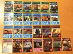 レアなし】鳥羽水族館 コレクションカードvol.2 ノーマル コンプ