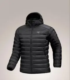 ARC'TERYX Cerium Hoody セリウムフーディ　アークテリクス