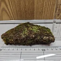苔玉 天然石と苔 約13cm x 2cm　⑮