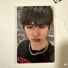 ald1 アンシン euphoria pluschat予約特典