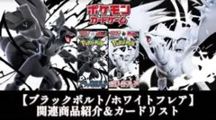 POKEMON CARDポケモンカードブラックボルト/ホワイトフレア各1BOX