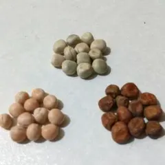 カプチーノ様 リクエスト 2点 まとめ商品