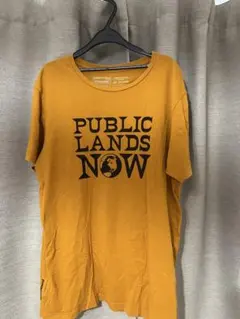 パタゴニア　Tシャツ