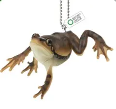 ネイチャーNATURE テクニカラーニホンアマガエル濃茶　ボールチェーン