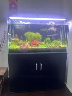 2026年最新】水槽 90 中古の人気アイテム - メルカリ