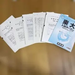 【全4回分】東大入試オープン 2025年度夏秋 2026年度夏秋 フルセット 2026年最新】東大オープン2025の人気アイテム - メルカリ