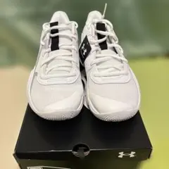 Item thumbnail for item 8b1d7e30-b017-411b-aa0e-7584681e405b