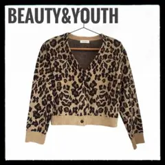 ユナイテッドアローズ　Ｖネック　レオパード　ヒョウ柄　ニット　F