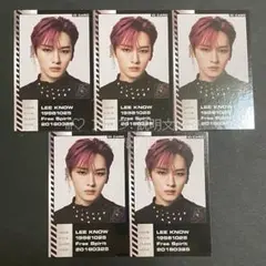 StrayKids ODDINARY リノ 5点set