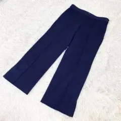 アドルフォドミンゲス　カジュアルパンツ　ブルー　青　40サイズ