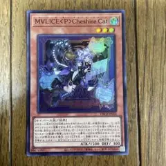 遊戯王　Cheshire ③