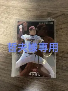 プロ野球チップスカード(哲夫様専用)のサムネイル