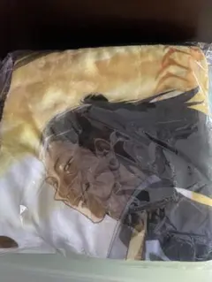 Item thumbnail for item 164601e2-9321-428d-91dd-25c0247e9588