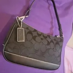 COACH コーチ シグネチャー アクセサリーポーチ ハンドバッグ