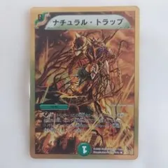 ナチュラル・トラップ デュエルマスターズ 2008