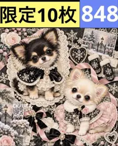 限定10枚！　犬 レアパネル生地　無くなり次第終了です