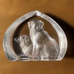 MATS JONASSON マッツジョナサン スウェーデン　レトリバー　犬