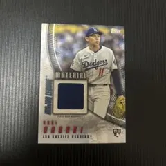 Item thumbnail for item 8a190944-bcbe-46b4-b995-36ec55bf0c1f