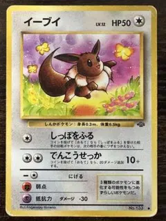 イーブイ ● 第2弾拡張パック ポケモンジャングル　ポケモンカード　旧裏 イーブイ ○ 第2弾拡張パック ポケモンジャングル 旧裏 - メルカリ