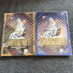 Item thumbnail for item 5b359249-061b-41d2-b349-923eac1ac132