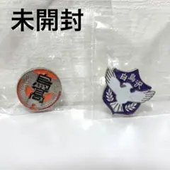 ハイキュー　ピンバッチ　高校モチーフ