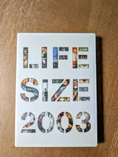 2026年最新】小田和正 LIFE-SIZE 1995の人気アイテム - メルカリ