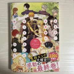 ある日、お姫様になってしまった件について13
