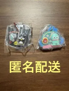 サンリオキャラクターズ　パッケージチャーム　2点セット
