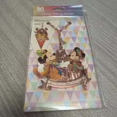 東京ディズニーリゾート ミッキー ミニー チャームのサムネイル