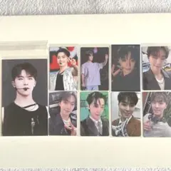 セブチ ディノ トレカ まとめ売り