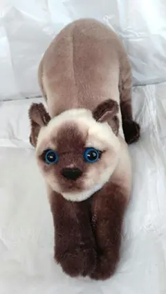 2026年最新】シャム猫ぬいぐるみの人気アイテム - メルカリ