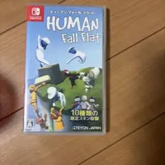 Nintendo Switch Human Fall Flat